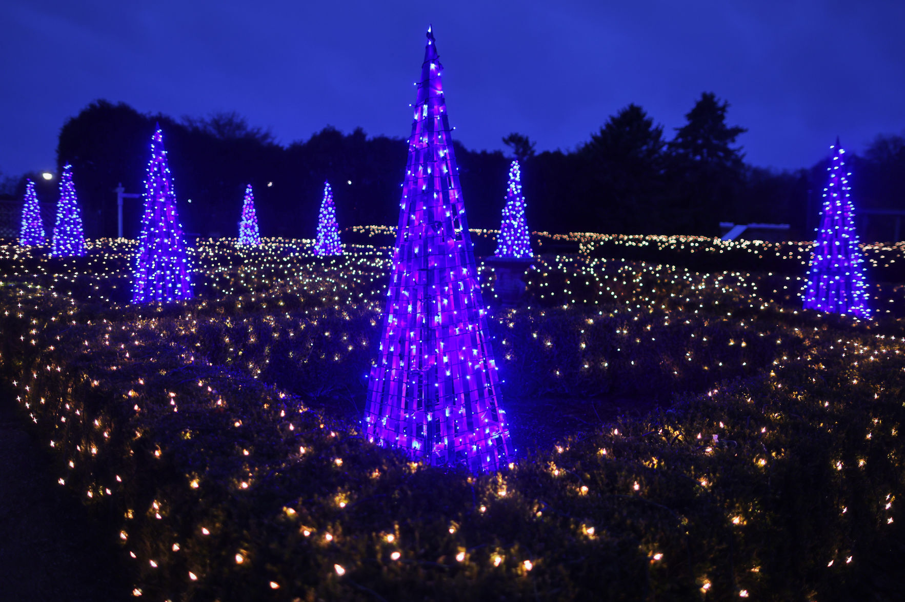 JVG_211121_LIGHTS03